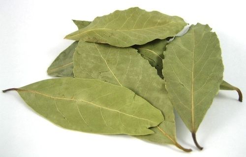Laurel Bay Leaf
