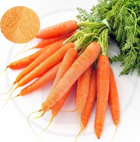 Natural Spray Dried Carrot Powder