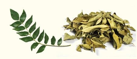 Curry Leaves