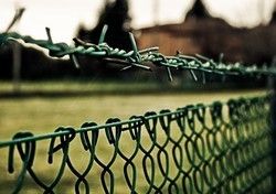 PVC Coated Barbed Wire