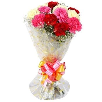 10 Mix Carnations Flower
