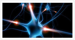 Deoxynucleotide Triphosphates (dNTPs)