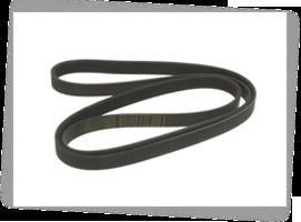 Poly Rib Belt