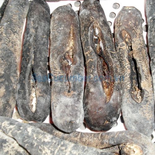 Dried ZBlack Sandfish Sea Cucumber