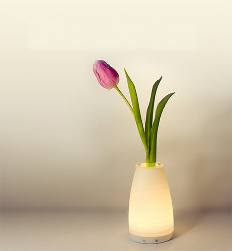 RGB Color Changeable Remote Control Vase Table Lamp