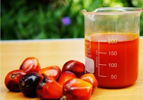 Crude Palm Oil - High Beta-Carotene Content, Naturally Reddish Color, Edible Vegetable Oil