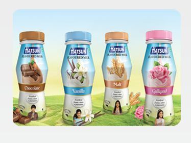 Flavoured Milk - All Natural Ingredients, No Artificial Flavours or Preservatives, Perfect For Kids