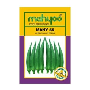 MAHY 55