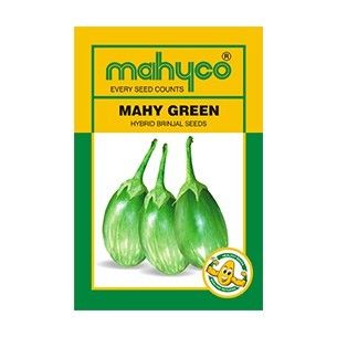 Mahy Green