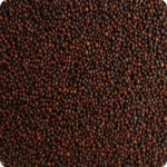 Black Mustard Seeds