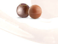 Soft Center Filled Chocolates(Coffee)