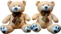 Teddy Soft Toys