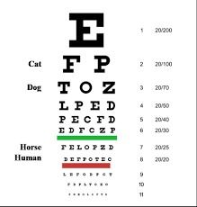 Vision Chart Back