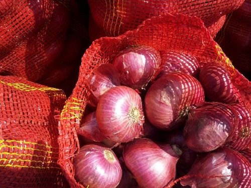 Fresh Top Quality Red Onion