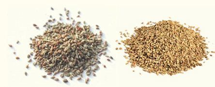 Ajwain