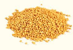 Mustard Seeds - 1 to 2 Millimeters in Diameter | Yellowish White to Black, Rich in Flavor, Ideal for Spices