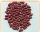 Rajma Dark Bean