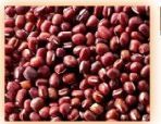 Red Chori Adzuki Bean