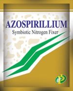 Azospirillium Bio Fertiliser