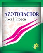 Azotobactor Bio Fertilizer