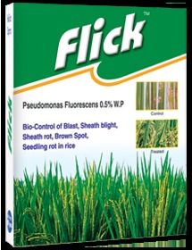 Flick Bio Fungicide