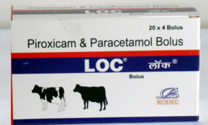 Loc Bolus