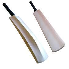 Kashmir Willow Cricket Bat