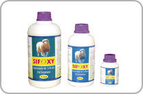 Sifoxy Oxyclozanide Vet 3.4% W/v Oral Suspension