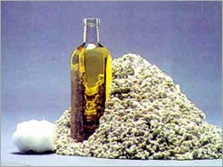 Cotton Seed Refined Oil