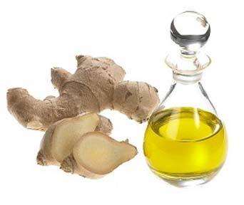 Ginger Oil