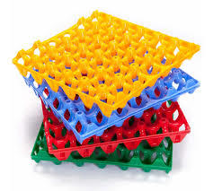 Plastic Egg Tray - Premium Virgin Plastic Material | Durable Design, Breakage Prevention, Ideal for Poultry Use