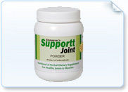 Supportt Joint