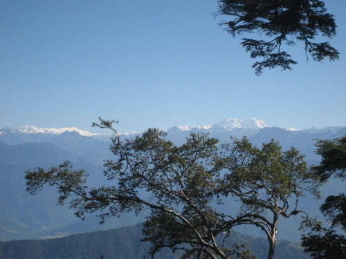 Memorial Chorten Tour Solution