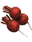 Beet-Hybrid