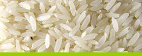 Basmati Rice