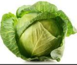 Fresh Cabbage