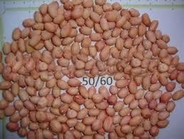 Java Peanuts 50/60