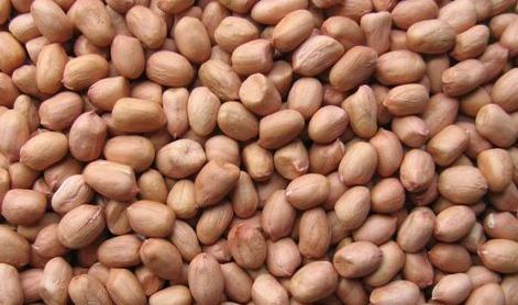 Java Peanuts 60/70