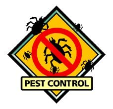 GT Pest Control Services