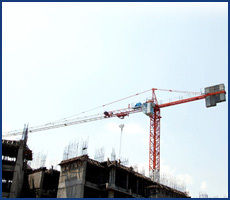 Self Erecting Cranes