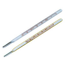 Thermometer Oral