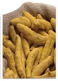 Turmeric Fingers - Superior Quality 200g, 500g, 1kilo Pouches , Bulk 25kg Poly Paper Bag Packaging