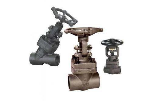 Forged Globe Valve