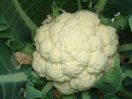 Hybrid Cauliflower Seeds
