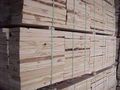 Timber Plank - High Quality Hardwood, Versatile for Furniture and Modular Kitchens