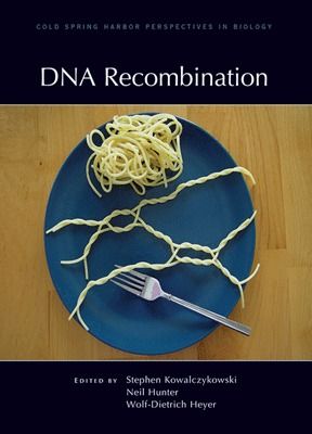 Book on DNA Recombination
