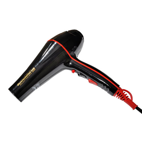 Professional Blow Dryer