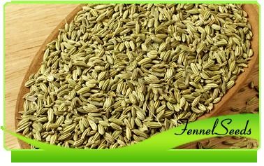 Fennel Seeds