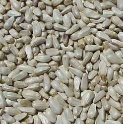 Natural Safflower Seeds 
