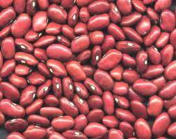 Red Kidney Beans